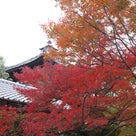 季節外れの京都・紅葉旅レポートその１の記事より