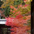 季節外れの京都・紅葉旅レポートその１の記事より
