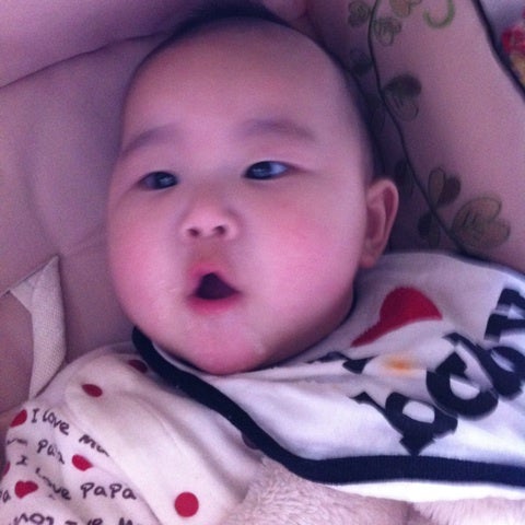 photo:01
