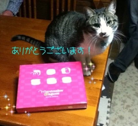 photo:01