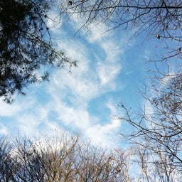 photo:01