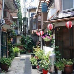 ☆o○*サ～ラ*o○☆ﾟの写真日記