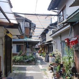 ☆o○*サ～ラ*o○☆ﾟの写真日記