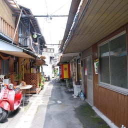 ☆o○*サ～ラ*o○☆ﾟの写真日記