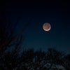 -結婚指輪ｱﾝｼﾞｪﾘｯｸﾌｫｾｯﾃ-★☆冬の夜長に･･･★☆の画像