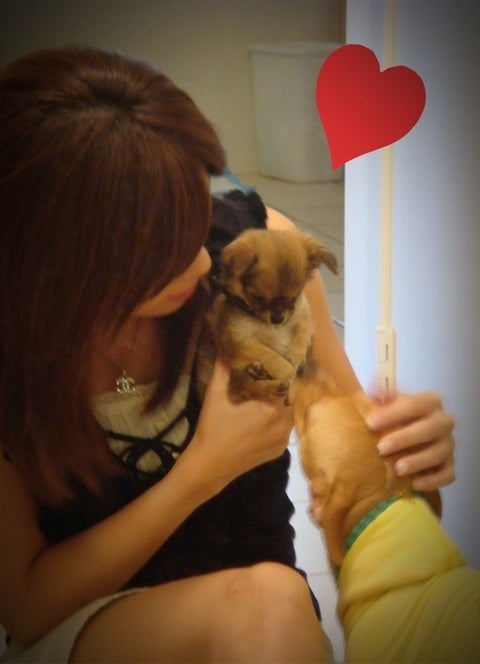 photo:01