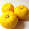 今日は冬至！の画像