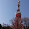 誕生日☆東京タワー無料の画像