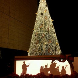 画像 ☆メリクリスマス♪ TT の記事より 1つ目
