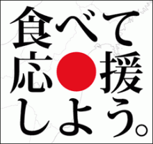 寺島ひろやす公式ブログ　２０１３年２月３日千代田区長選挙候補