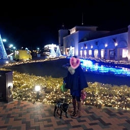 画像 クリスマス旅行 の記事より 1つ目