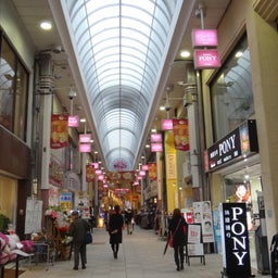 ☆o○*サ～ラ*o○☆ﾟの写真日記-18