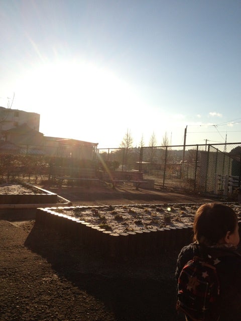 photo:01