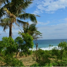 photo:01