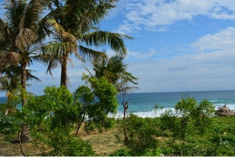 photo:01