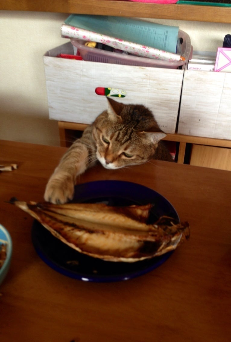 コソ泥はっけ〜ん(￣◇￣;)の記事画像