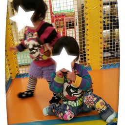 画像 やと！ の記事より