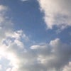 おはようございますの画像