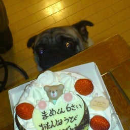画像 誕生日 の記事より 2つ目