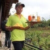 ウブドの町から5kmのところにあるテガラランの棚田（大阪パーソナルトレーナー）の画像
