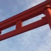 今年のおみくじの画像