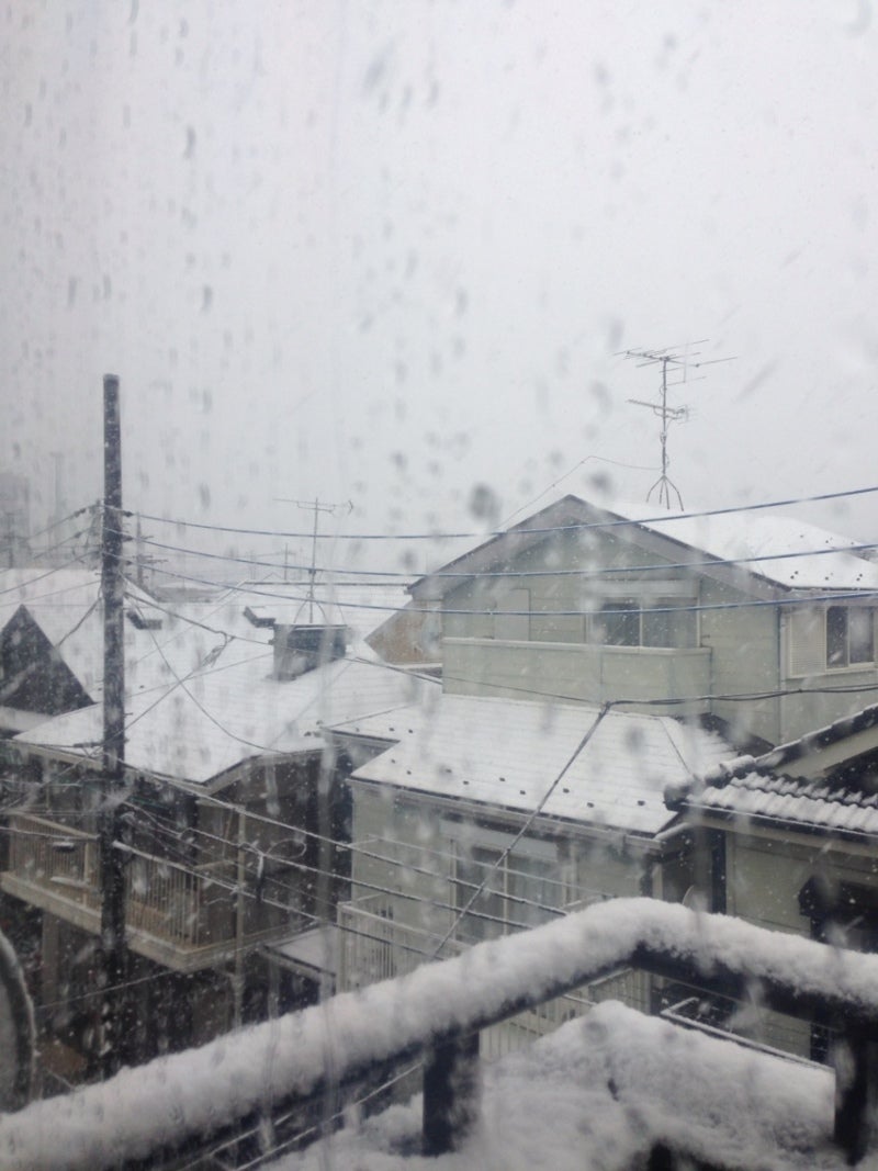 投稿写真