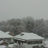 初雪の画像