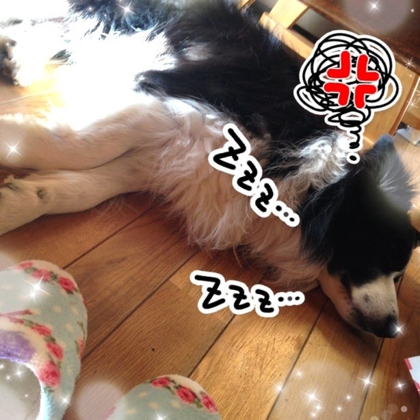 ふて寝中。の記事画像