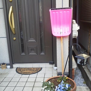 雪かき…の画像