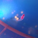 白い恋人パークの記事より