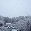 大雪の休日☆の画像