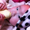 離乳食の画像