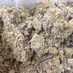 さわやかアグリ　 農業