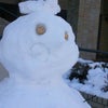 朝学校に行ったらこんなお方が。の画像