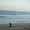 千葉外房御宿海岸画像付き無料サーフィン波情報の画像
