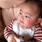 はやおきの記事より