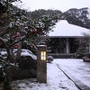 1月18日　四天王寺　雪景色の画像