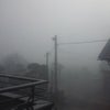 『朝霧』の画像