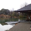福井:名勝 養浩館庭園の画像