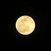 獅子座の満月ですの画像