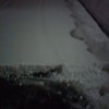 午前６時頃の関ヶ原の積雪状況、雷も鳴っているよ(>_<)の画像