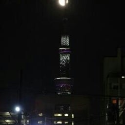 投稿写真