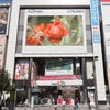 「京鹿子娘道成寺」ビジョン放映ご報告！の画像