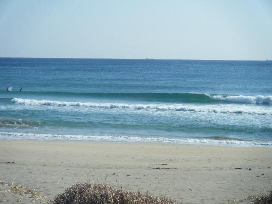 Blue Velvet Lounge ocean blog by onjuku surfer tamaking-blue velvet lounge