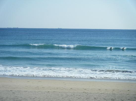 Blue Velvet Lounge ocean blog by onjuku surfer tamaking-blue velvet lounge