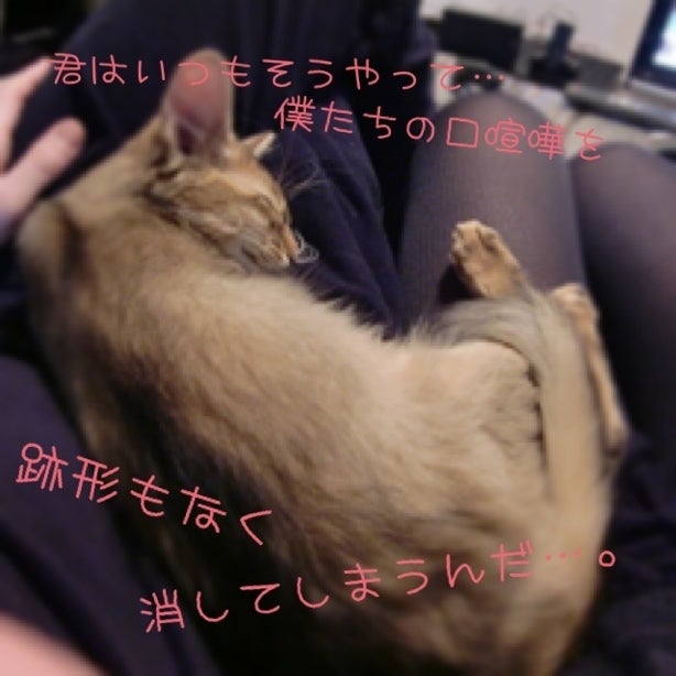 喧嘩の後に。の記事画像