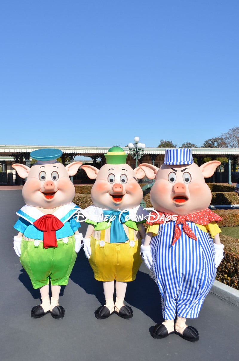 Three Little Pigs Disney Toon Days ディズニー トゥーン デイズ