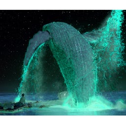 画像 映画　『Life Of Pi』 の記事より 3つ目