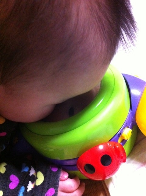 photo:01