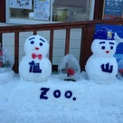 雪あかりの旭山動物園～2013～レポート♪その１の記事より